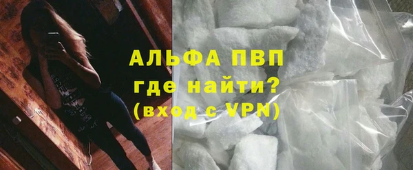 прущие грибы Медвежьегорск