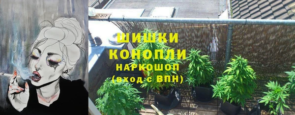 прущие грибы Медвежьегорск