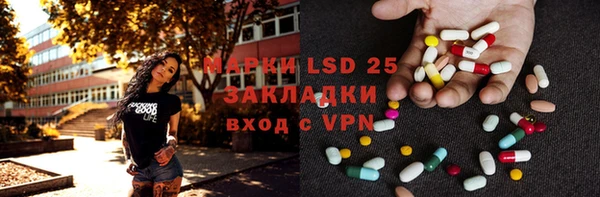 прущие грибы Медвежьегорск