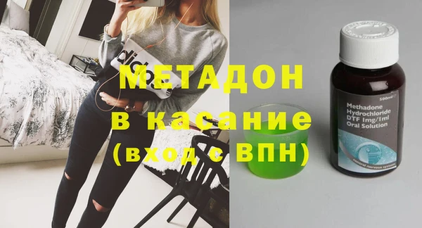 прущие грибы Медвежьегорск